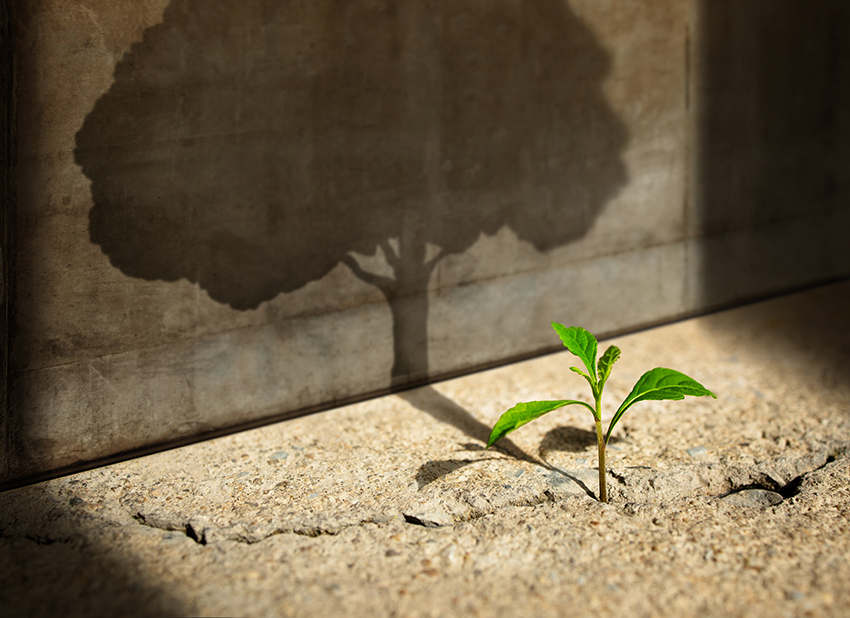 Mindset-Coach – innere Haltung